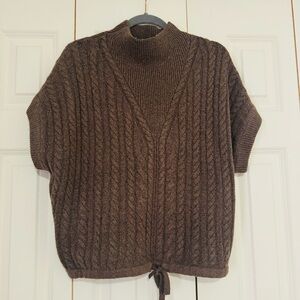 Express Brown Cable Knit Sweater
